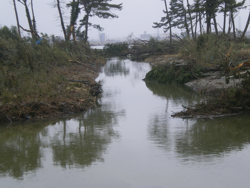 詳細表示 仙台市宮城野区蒲生地内 七北田川 白鳥2丁目方向