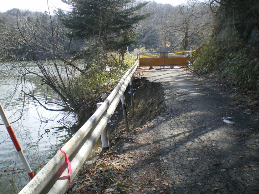 詳細表示 サイカチ沼 仙台市青葉区