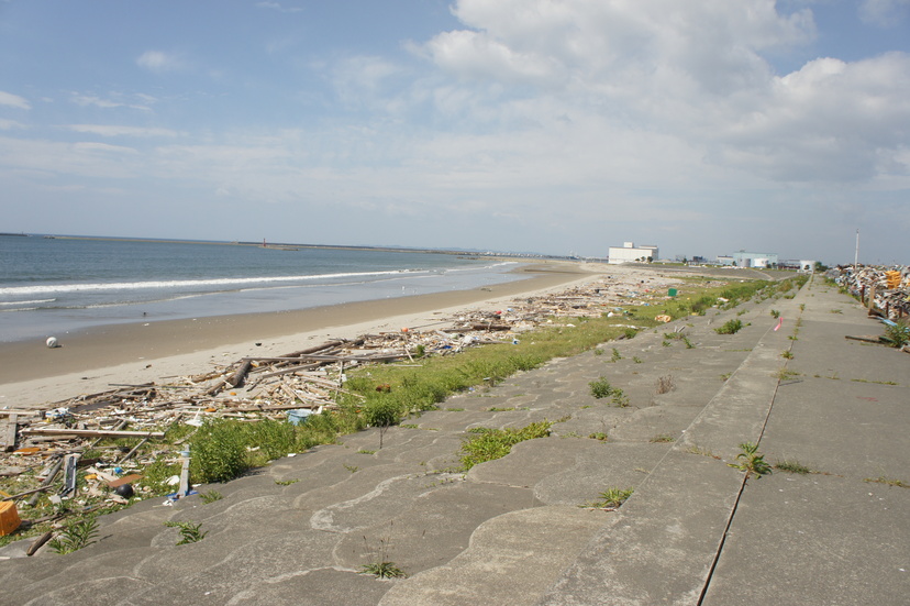 Detail 渡波長浜 渡波海水浴場 長浜海浜公園